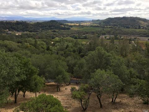 10331 Westside Rd, Healdsburg, CA 95448 photo 39