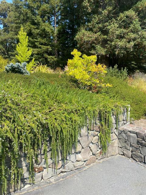 10331 Westside Rd, Healdsburg, CA 95448 photo 30