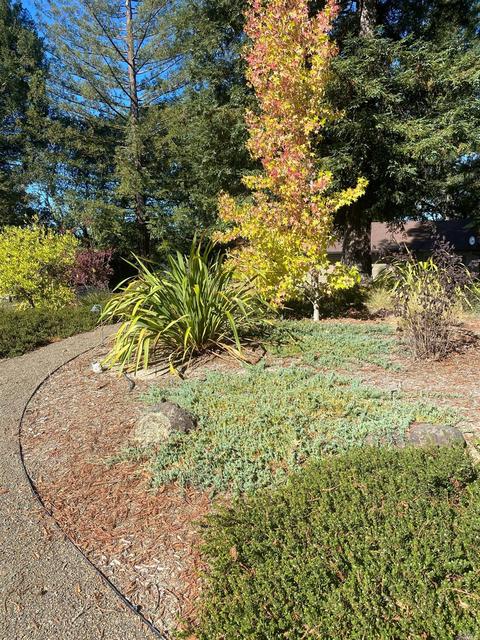 10331 Westside Rd, Healdsburg, CA 95448 photo 31