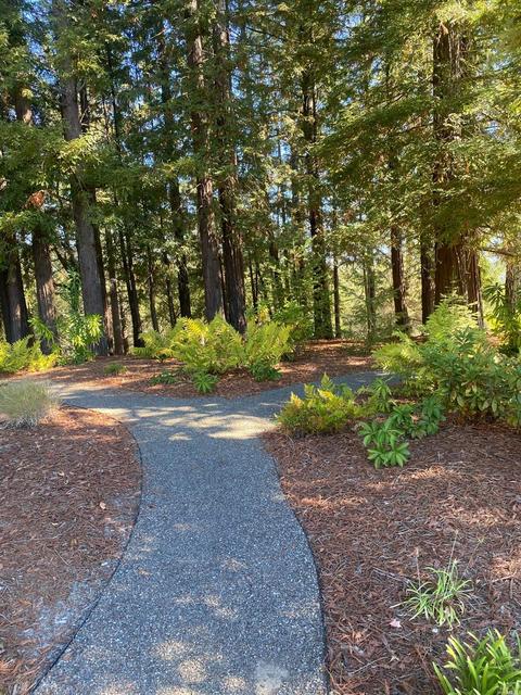 10331 Westside Rd, Healdsburg, CA 95448 photo 6