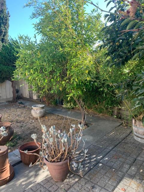 901 Tobin Dr, Vallejo, CA 94589 photo 16