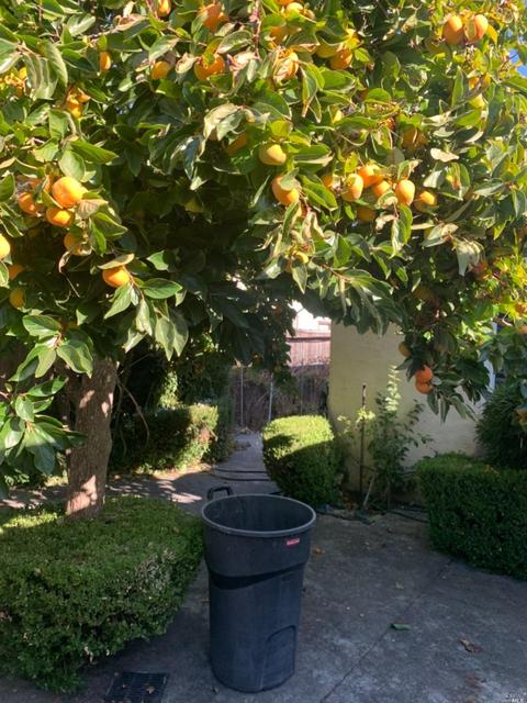 901 Tobin Dr, Vallejo, CA 94589 photo 17
