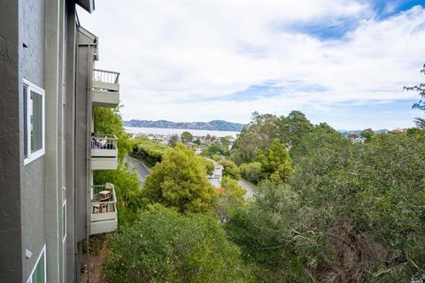 13 Anchorage Rd, Sausalito, CA 94965 photo 40
