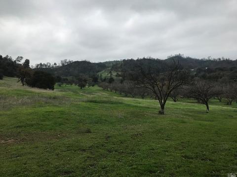 8294 Pleasants Valley Rd, Winters, CA 95694 photo 49