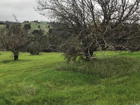 8294 Pleasants Valley Rd, Winters, CA 95694 photo 53