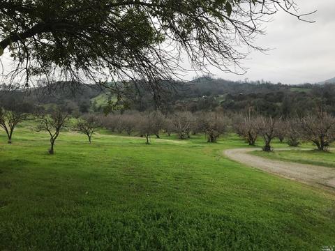 8294 Pleasants Valley Rd, Winters, CA 95694 photo 2