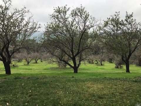 8294 Pleasants Valley Rd, Winters, CA 95694 photo 6