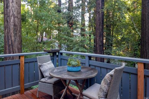 190 Cascade Dr, Mill Valley, CA 94941 photo 19