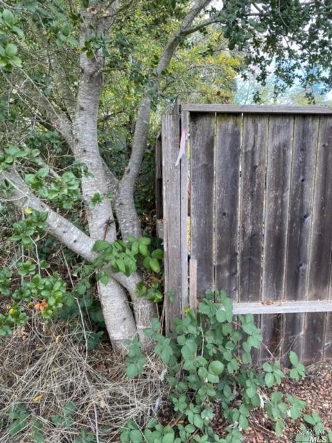 494 Wall St, Windsor, CA 95492 photo 13