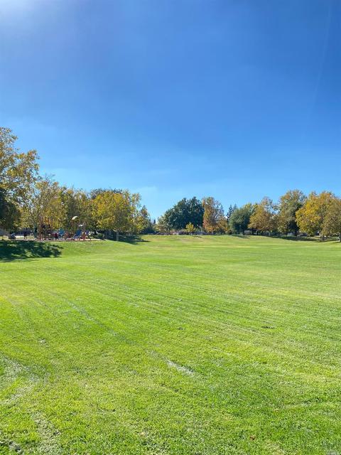 875 June Ct, Dixon, CA 95620 photo 46