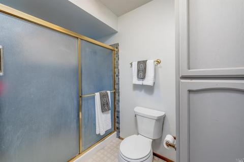 875 June Ct, Dixon, CA 95620 photo 24