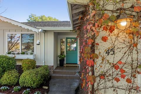 45 Ash Ave, Corte Madera, CA 94925 photo 4