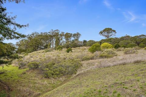 5 Midhill Dr, Mill Valley, CA 94941 photo 33