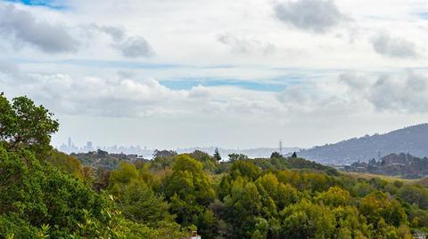 12 Fairview Ave, Corte Madera, CA 94925 photo 39