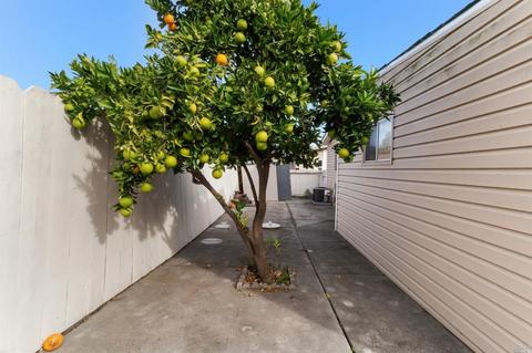 248 Rock River Dr, Vallejo, CA 94589 photo 25