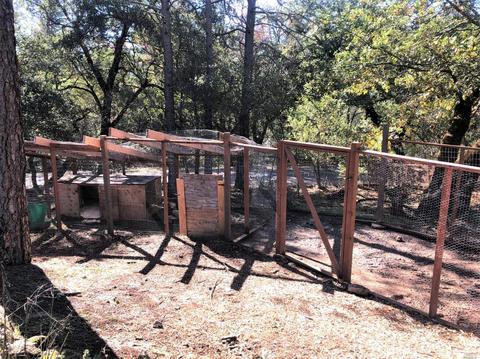 285 White Cottage Rd S, Angwin, CA 94508 photo 6