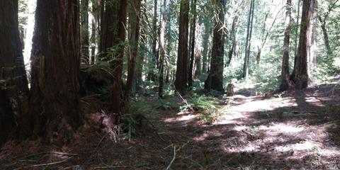 4750 Bear Canyon Rd, Willits, CA 95490 photo 1