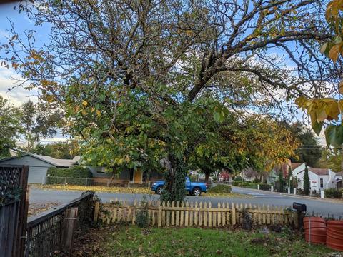 610 N Pine St, Ukiah, CA 95482 photo 19