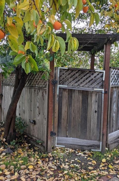 610 N Pine St, Ukiah, CA 95482 photo 30