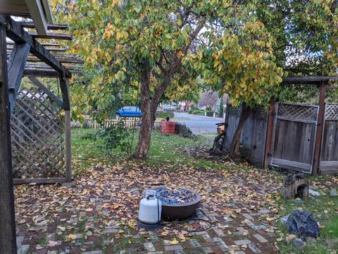 610 N Pine St, Ukiah, CA 95482 photo 20