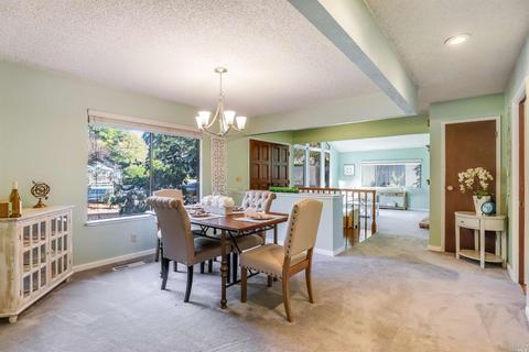810 Mcfarlane Ave, Sebastopol, CA 95472 photo 3