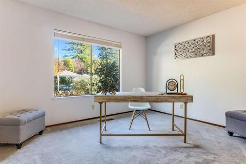 810 Mcfarlane Ave, Sebastopol, CA 95472 photo 18