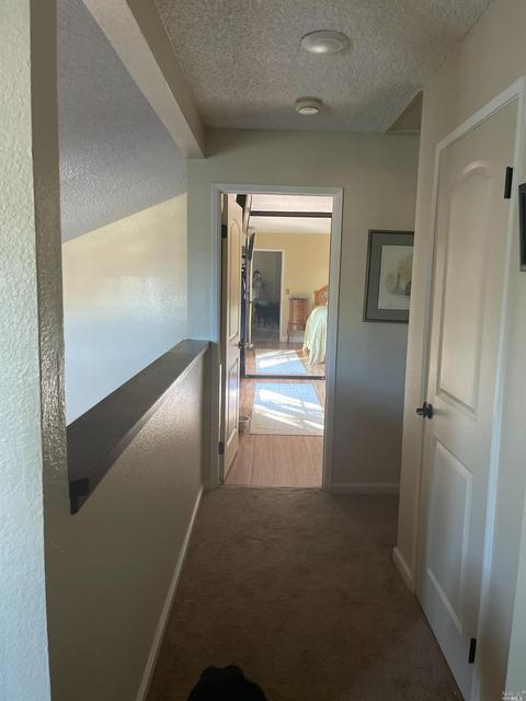 3603 Springfield Dr, Fairfield, CA 94534 photo 17