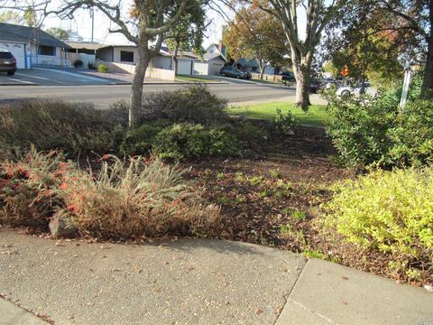 368 E Pacific Ave, Fairfield, CA 94533 photo 4