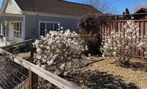 405 2nd St E, Sonoma, CA 95476 photo 23