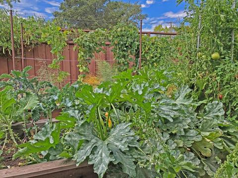405 2nd St E, Sonoma, CA 95476 photo 22