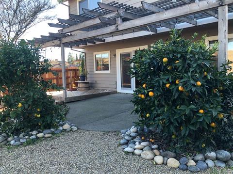 105 Wooded Glen Ct, Windsor, CA 95492 photo 24
