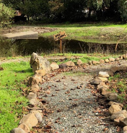 19367 Orange Ave, Sonoma, CA 95476 photo 50