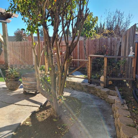 173 Begonia Ct, Vallejo, CA 94591 photo 46
