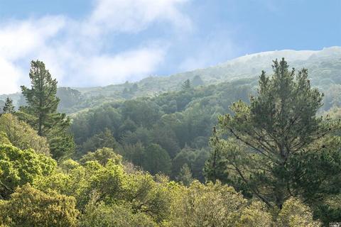 616 Douglas Dr, Mill Valley, CA 94941 photo 18