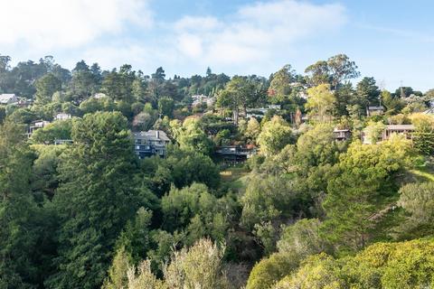 616 Douglas Dr, Mill Valley, CA 94941 photo 19