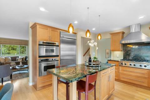 295 Devon Dr, San Rafael, CA 94903 photo 8