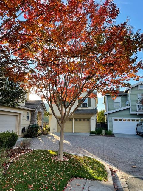 8081 Red Oak Ct, Vallejo, CA 94591 photo 93