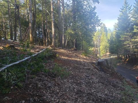 27381 Blue Lake Ct, Willits, CA 95490 photo 1