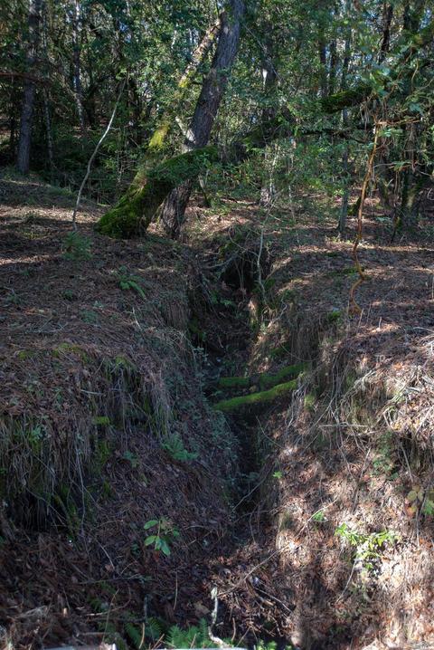 293 Sherwood Rd, Willits, CA 95490 photo 13