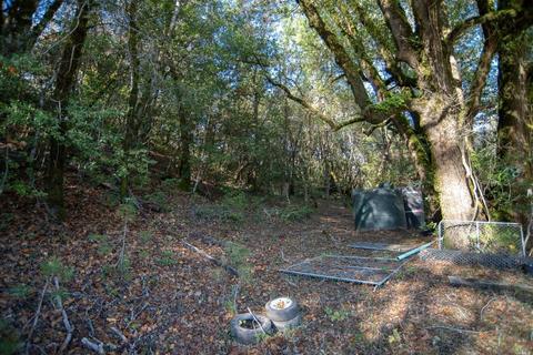 293 Sherwood Rd, Willits, CA 95490 photo 15
