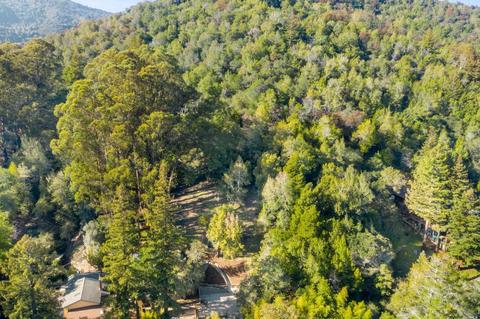 57 Olive Ave, Larkspur, CA 94939 photo 49