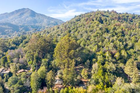 57 Olive Ave, Larkspur, CA 94939 photo 50