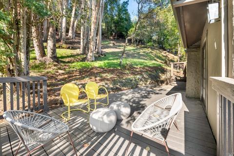 57 Olive Ave, Larkspur, CA 94939 photo 44