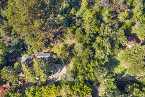 57 Olive Ave, Larkspur, CA 94939 photo 47