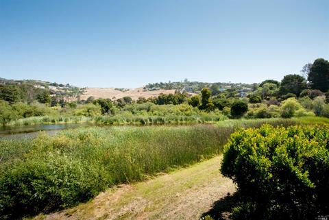 24 Marsh Rd, Tiburon, CA 94920 photo 8
