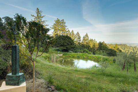 18835 Fitzpatrick Ln, Occidental, CA 95465 photo 30