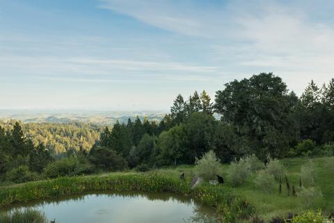 18835 Fitzpatrick Ln, Occidental, CA 95465 photo 21