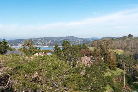 307 Via Recodo, Mill Valley, CA 94941 photo 34