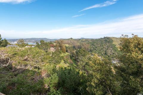 307 Via Recodo, Mill Valley, CA 94941 photo 32
