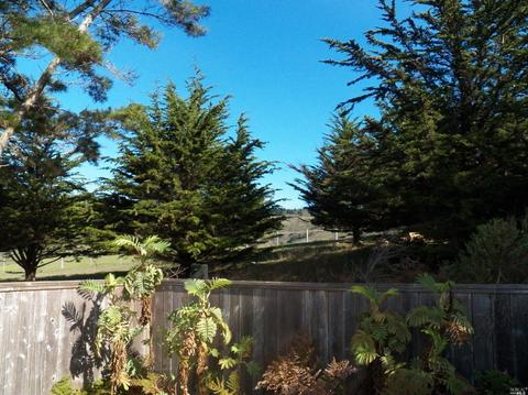 5663 Sierra Grande, Bodega Bay, CA 94923 photo 6